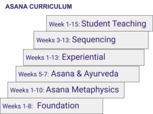 asana curriculum